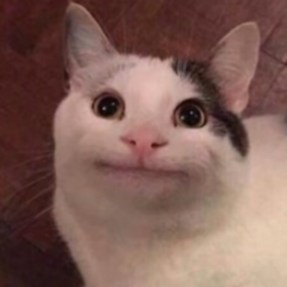 Meet your Posher, Alison